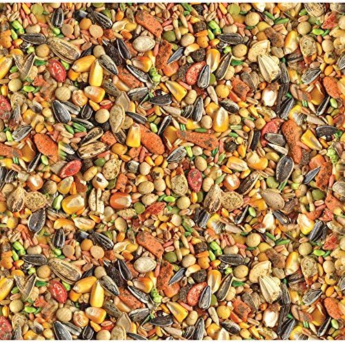 Wild Harvest Advanced Nutrition Parrot Food, 8 lbs