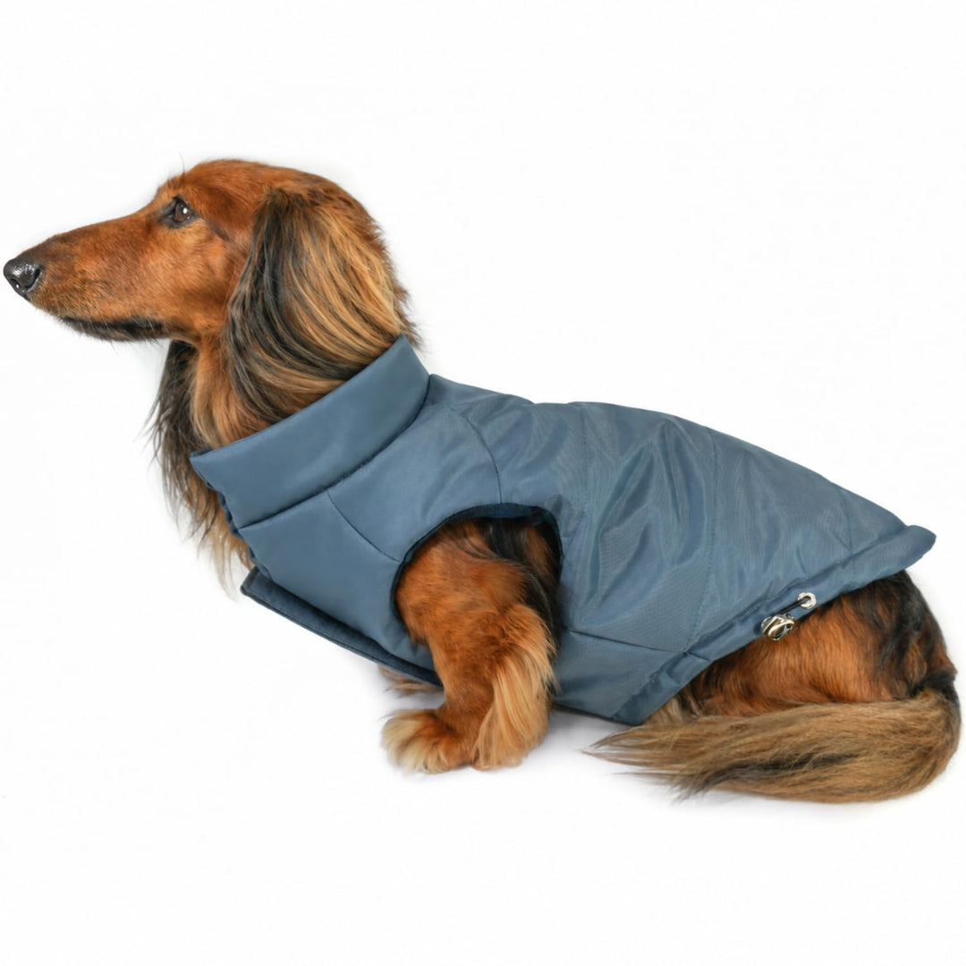 DJANGO Reversible Puffer Dog Coat &amp; Warm Winter Jacket - Blue, Medium