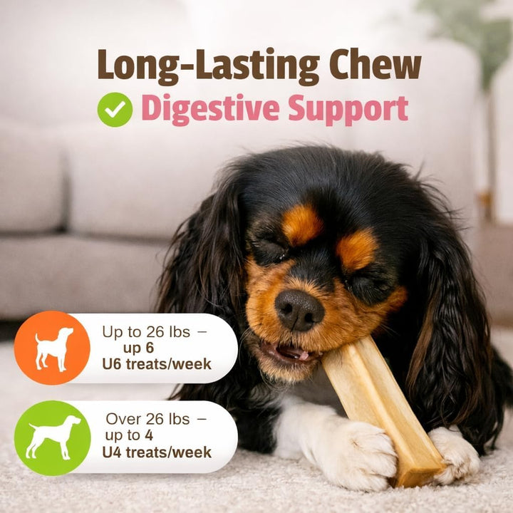 Pet Naturals BusyButter Balanced Belly Dog Bones, Small, 22 Count
