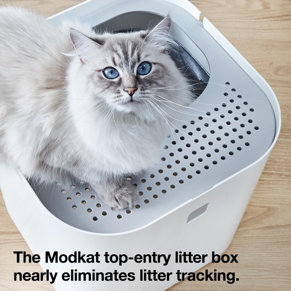 Modkat Top-Entry Cat Litter Box, Leak-Proof, Liner &amp; Scoop, Black