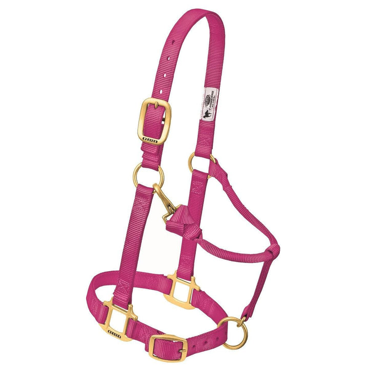 Weaver Leather Original Adjustable Nylon Horse Halter, Weanling/Pony, Black