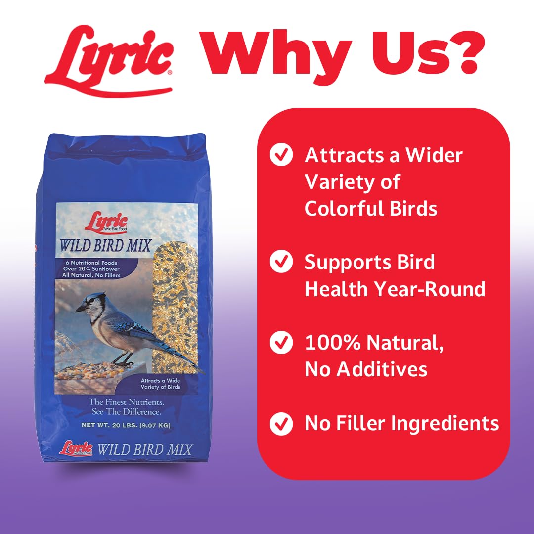 Lyric Wild Bird Mix - Includes Corn, Nuts, and Wild Bird Seed for Outside Feeders, Attracts Doves, Jays and Many More, 40 lb Bag
