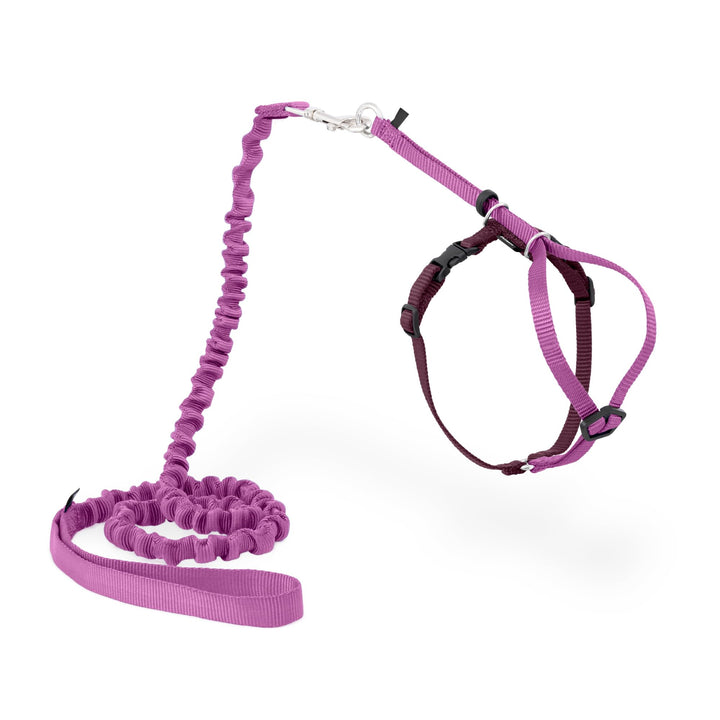PetSafe Come with Me Kitty Harness and Bungee Cat Leash, Dusty Rose, Medium