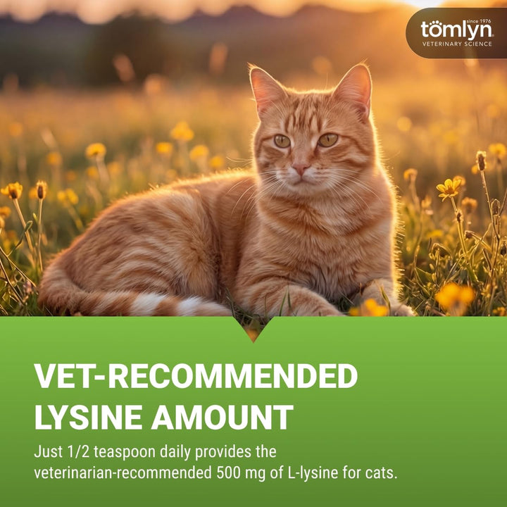 Tomlyn L-Lysine, Maple Immune Support Gel for Cats, 5 oz
