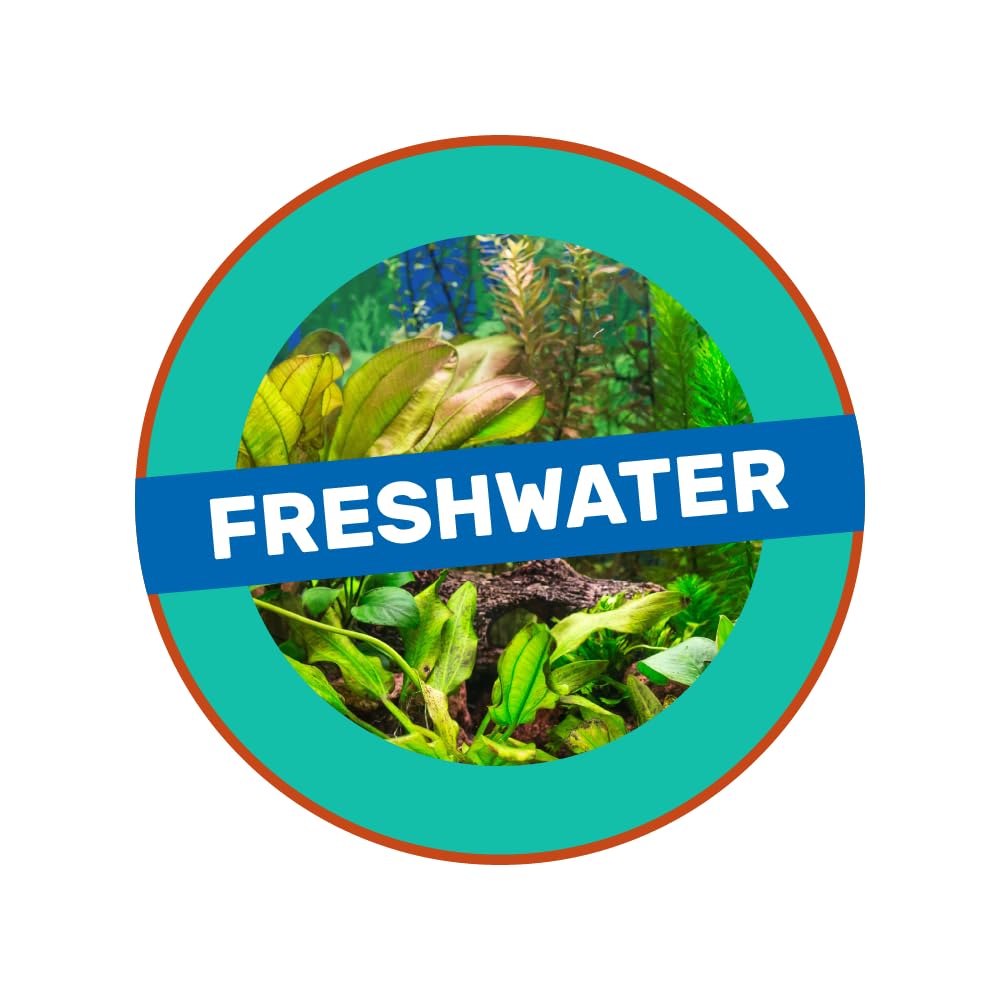 Hikari Aquarium Solutions® Betta Revive™ Formula, Treatment for Siamese Betta Fish, 0.08 fl. oz. (2.5mL)