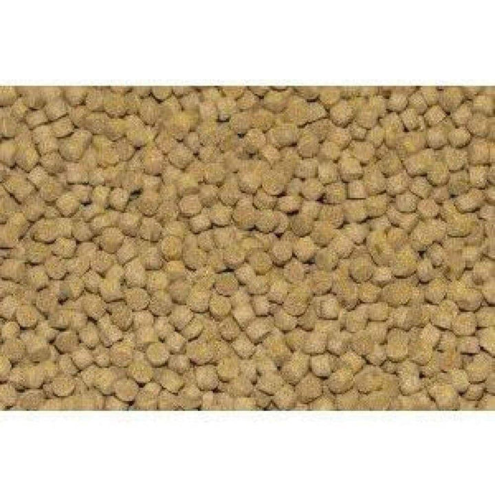 NorthFin Cichlid Fish Food, Slow-Sinking Pellets, 1mm, 100g