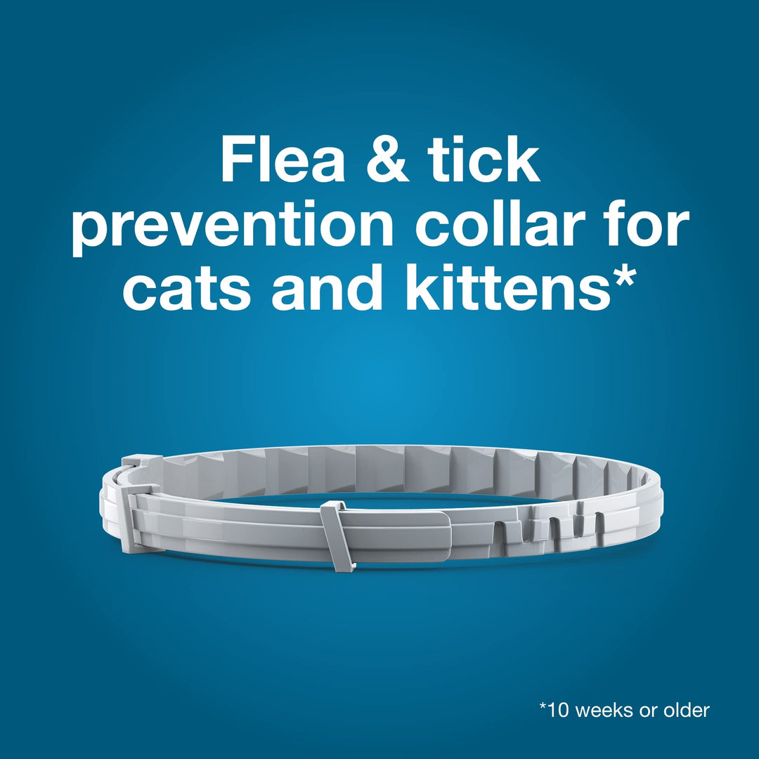 Seresto 8-Month Flea &amp; Tick Collar for Cats &amp; Kittens, 2ct