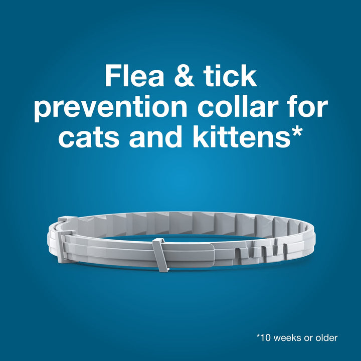Seresto 8-Month Flea &amp; Tick Collar for Cats &amp; Kittens, 2ct