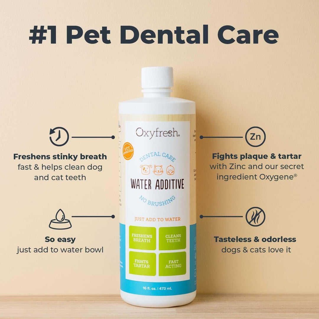 Oxyfresh Premium Pet Dental Care Solution Pet Water Additive: Best Way to Eliminate Bad Dog Breath and Cat Bad Breath - Fights Tartar &amp; Plaque - So Easy, Just Add to Water! Vet Recommended 16 oz.
