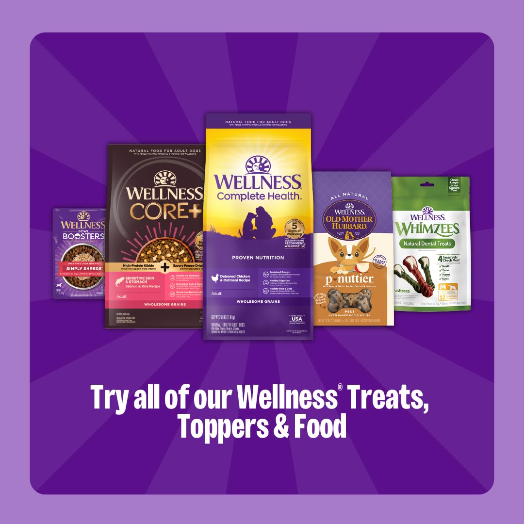 Wellness Soft Puppy Bites Dog Training Treats, Natural, Grain Free, Lamb and Salmon Recipe, 8 oz Bag