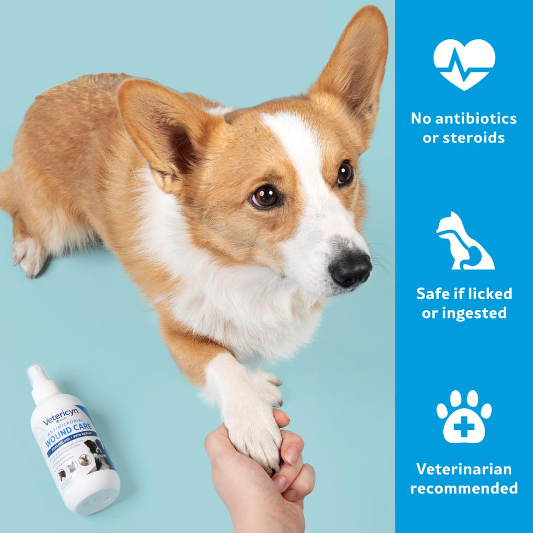 Vetericyn Plus Dog Wound Care Spray, Lick-Safe Wound &amp; Skin Care, 8 oz