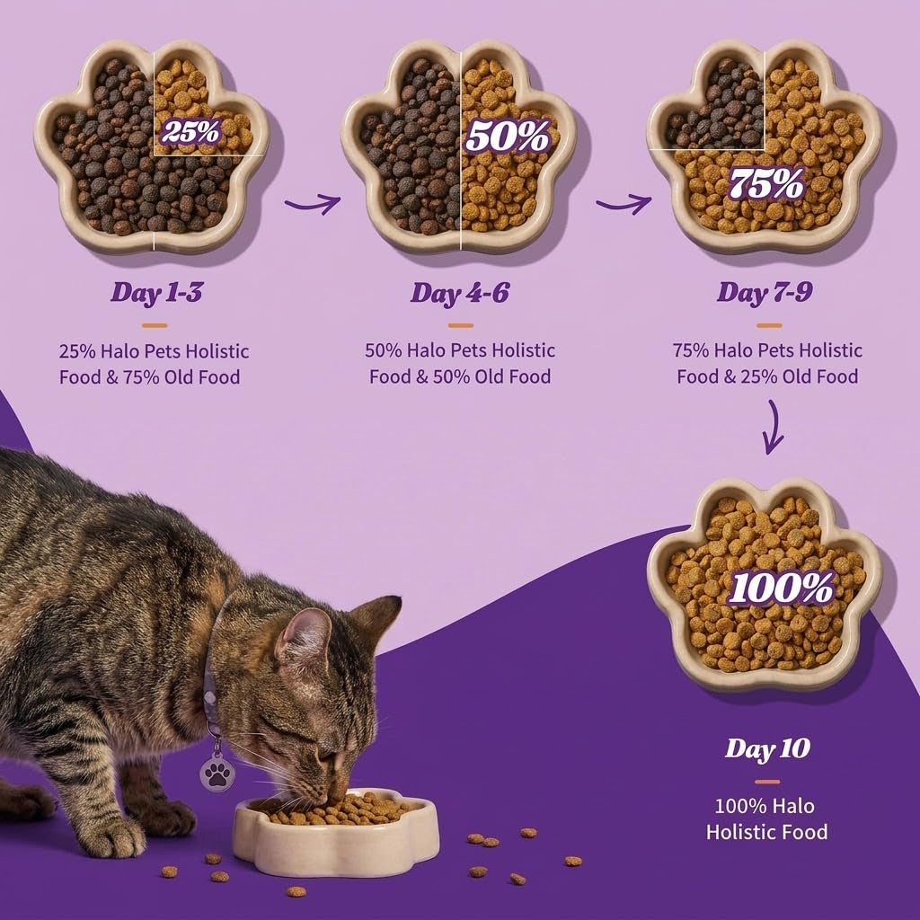 Halo Holistic Dry Cat Food, Cage-Free Chicken Recipe, 3 lb