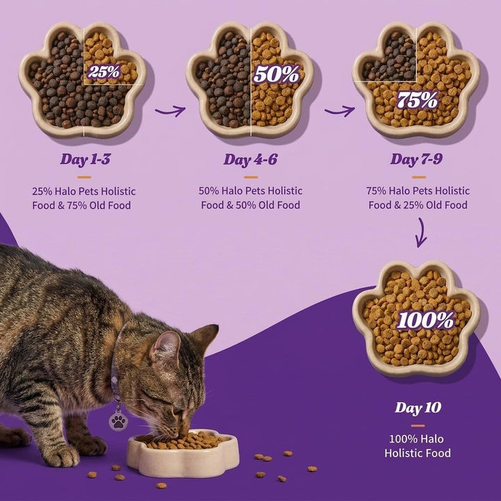 Halo Holistic Dry Cat Food, Cage-Free Chicken Recipe, 3 lb