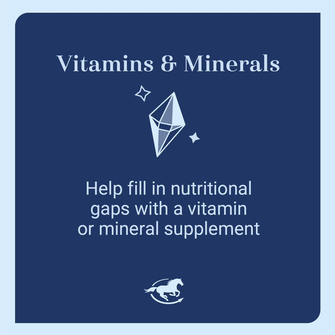 SmartEquine Nutrition Essentials SmartPak | Nutritional Supplement for Horses | Containing Essential Vitamins, Minerals, Amino Acids, and Omega 3 | Healthy Skin &amp; Horse Coat | 28 Days Supply