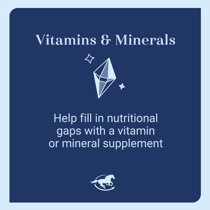 SmartEquine Nutrition Essentials SmartPak | Nutritional Supplement for Horses | Containing Essential Vitamins, Minerals, Amino Acids, and Omega 3 | Healthy Skin &amp; Horse Coat | 28 Days Supply