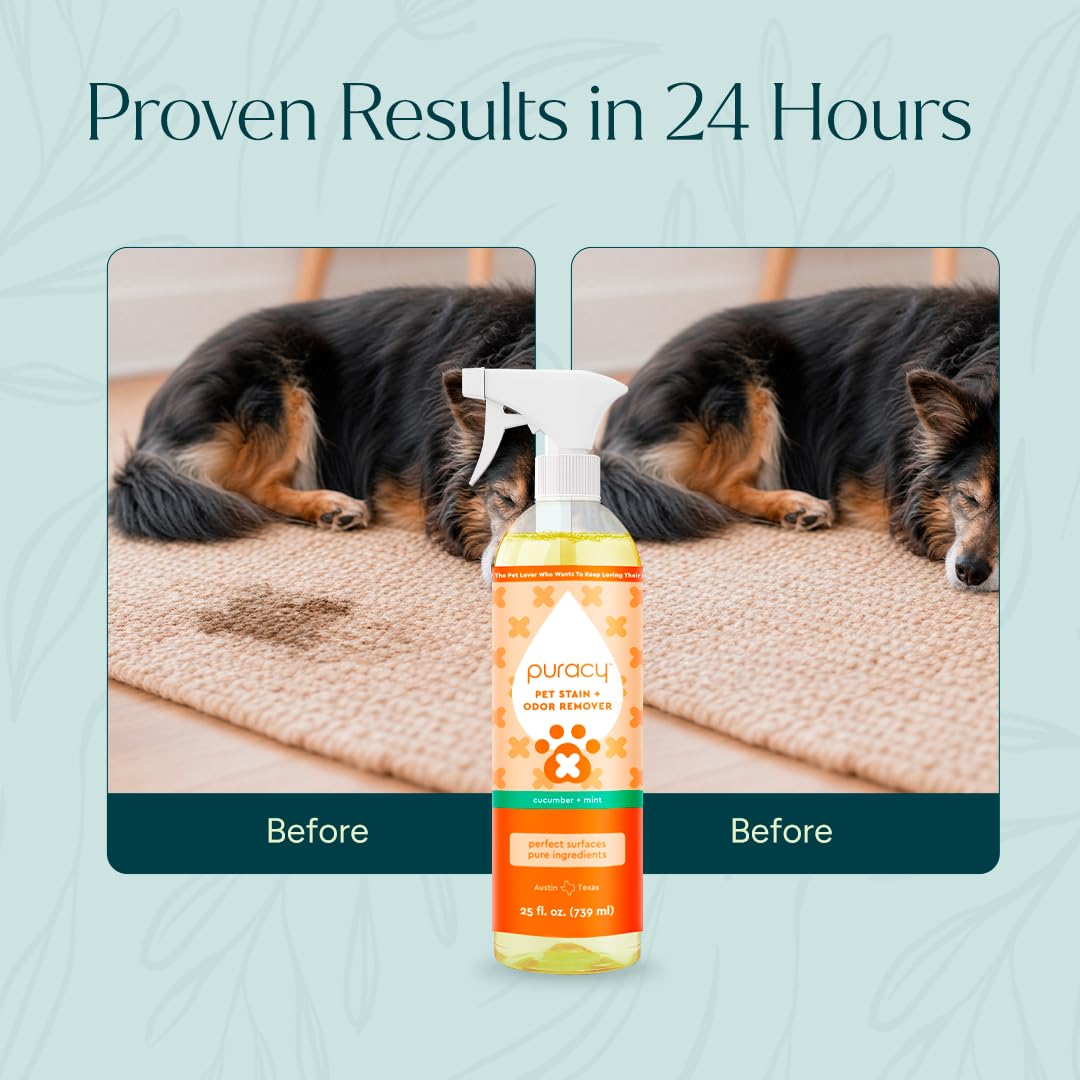Puracy Pet Stain and Odor Remover - Enzyme Cleaner for Dog &amp; Cat Urine and Poop on Carpet, Professional Pet Carpet Stain Remover, Cucumber &amp; Mint, 25oz