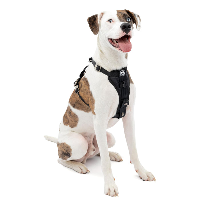 Kurgo Enhanced Strength Tru-Fit Smart Harness, Black, Medium