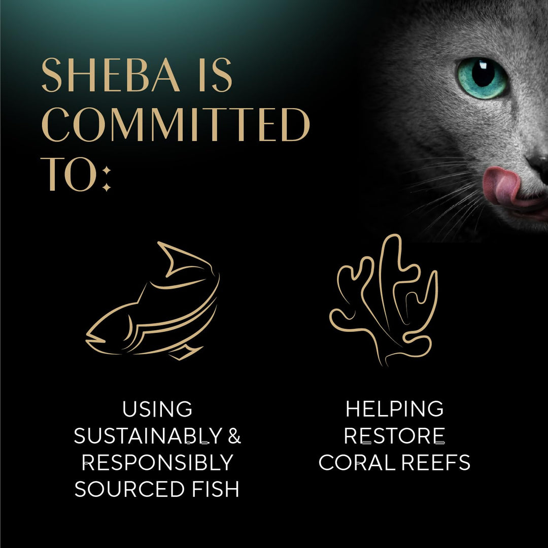 Sheba Selections Filets Wet Cat Food Complement, Variety, 1.3 oz, 24 ct