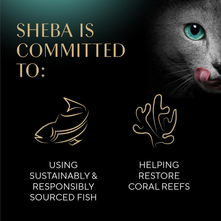Sheba Selections Filets Wet Cat Food Complement, Variety, 1.3 oz, 24 ct