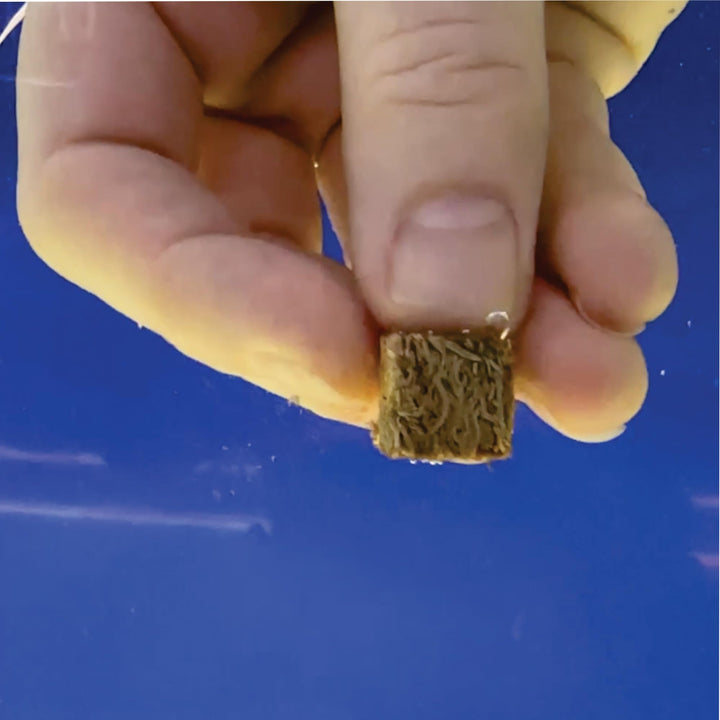 Super Cichlids Freeze-Dried Color Boost Blackworms Fish Food (15g)