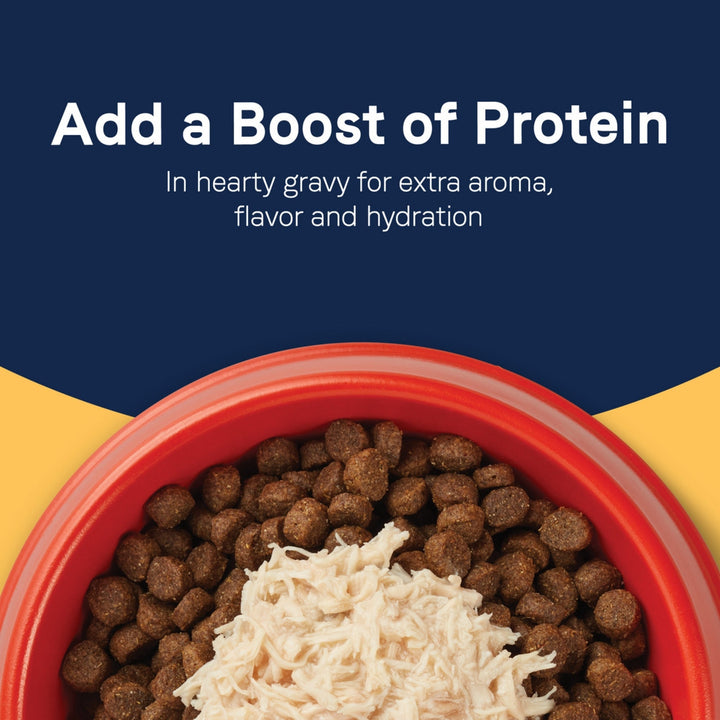 CANIDAE PURE Goodness Protein Topper for Dogs Shredded Chicken in Gravy, 12ea/3 oz