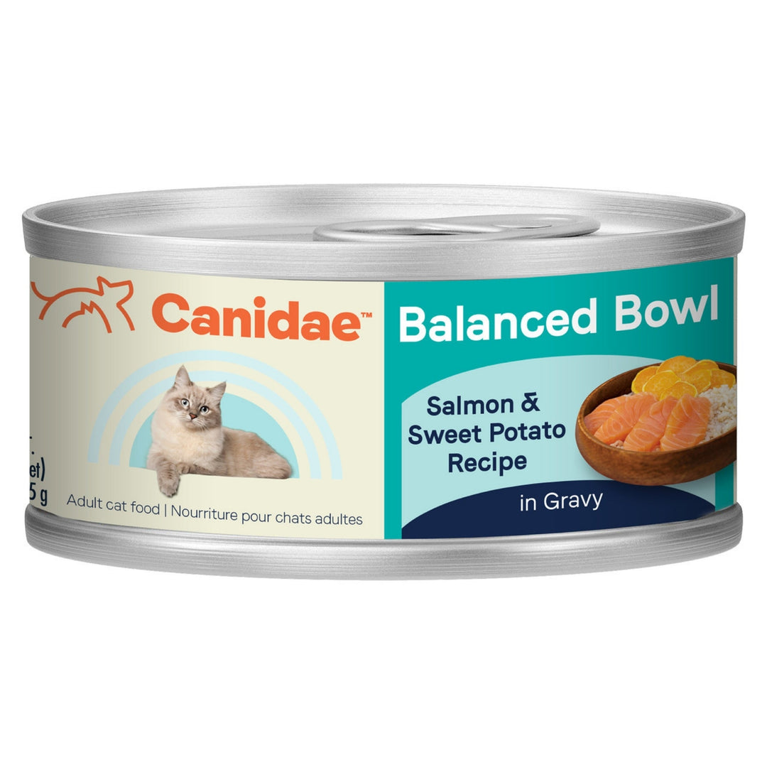 CANIDAE Balanced Bowl Canned Cat Food Salmon & Sweet Potato 3oz. (Case of 24)