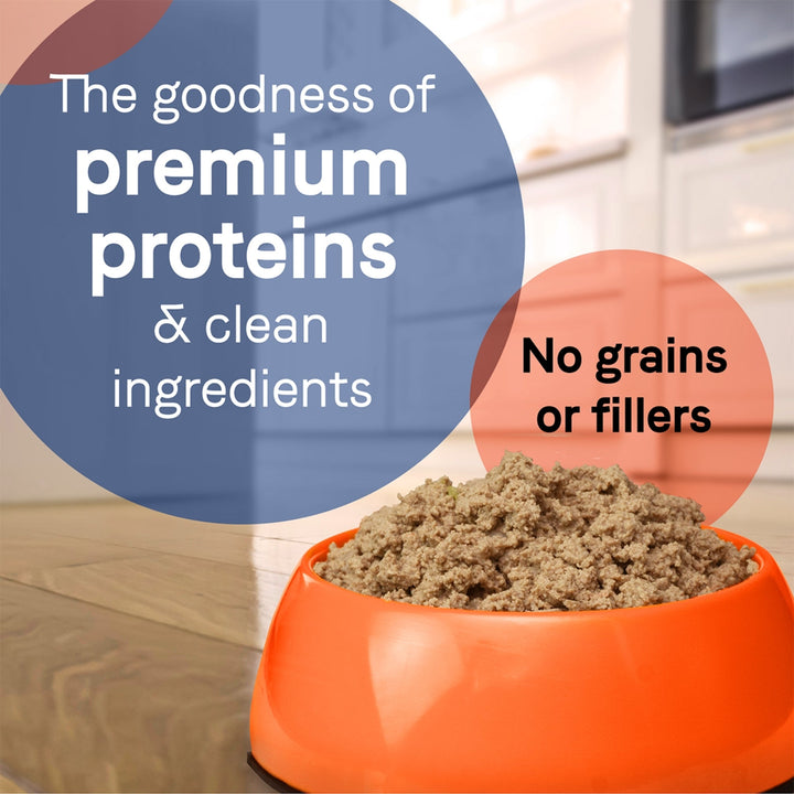 CANIDAE PURE Goodness GrainFree LID Canned Dog Food Elements Formula w/Lamb, Turkey  Chicken, 12ea/13 oz