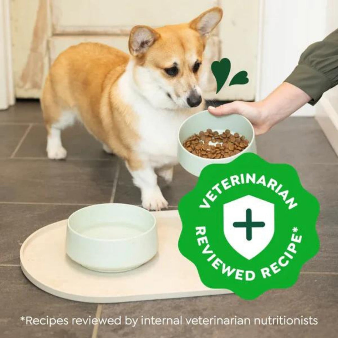 Greenies Smart Essentials Small Breed Dry Dog Food Chicken & Rice 27lbs