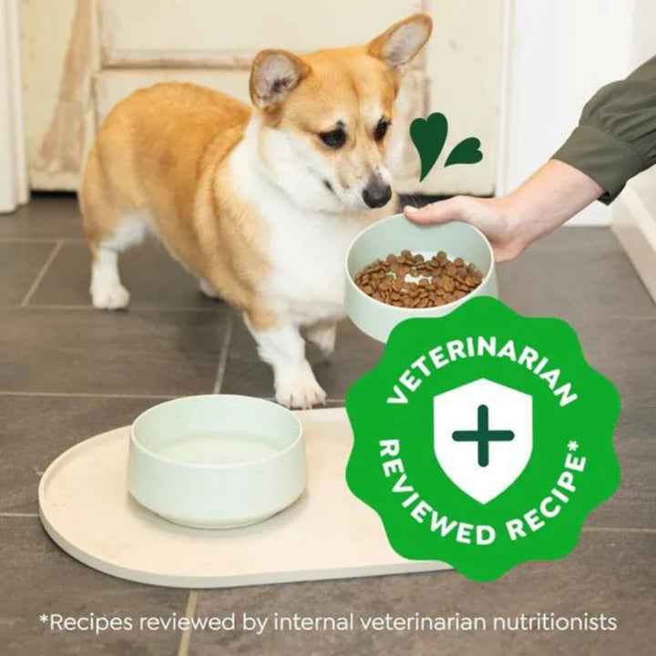 Greenies Smart Essentials Small Breed Dry Dog Food Chicken  Rice, 1ea/27 lb