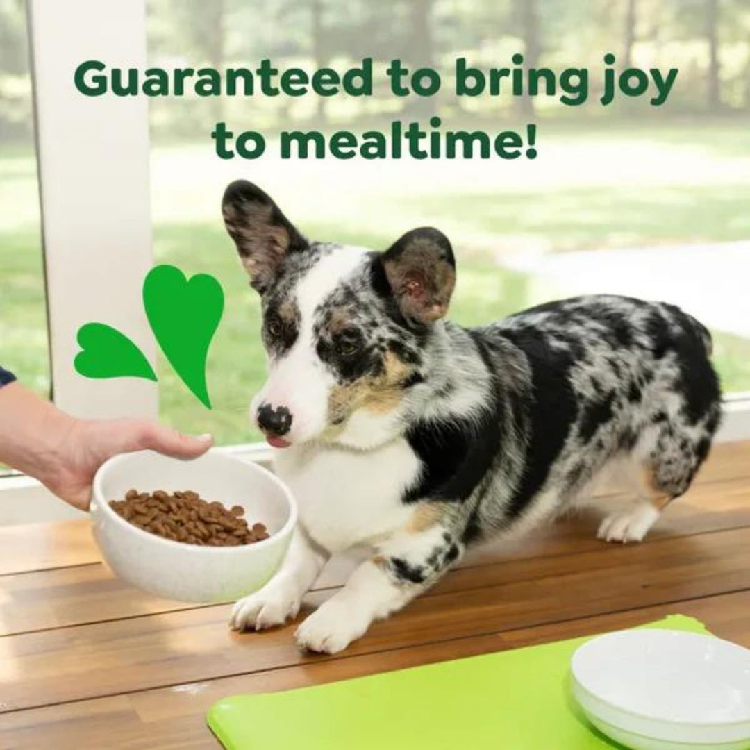 Greenies Smart Essentials Small Breed Dry Dog Food Chicken & Rice 27lbs