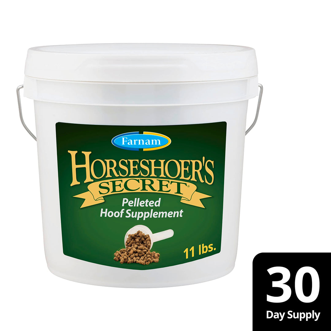 Farnam Horseshoer&
