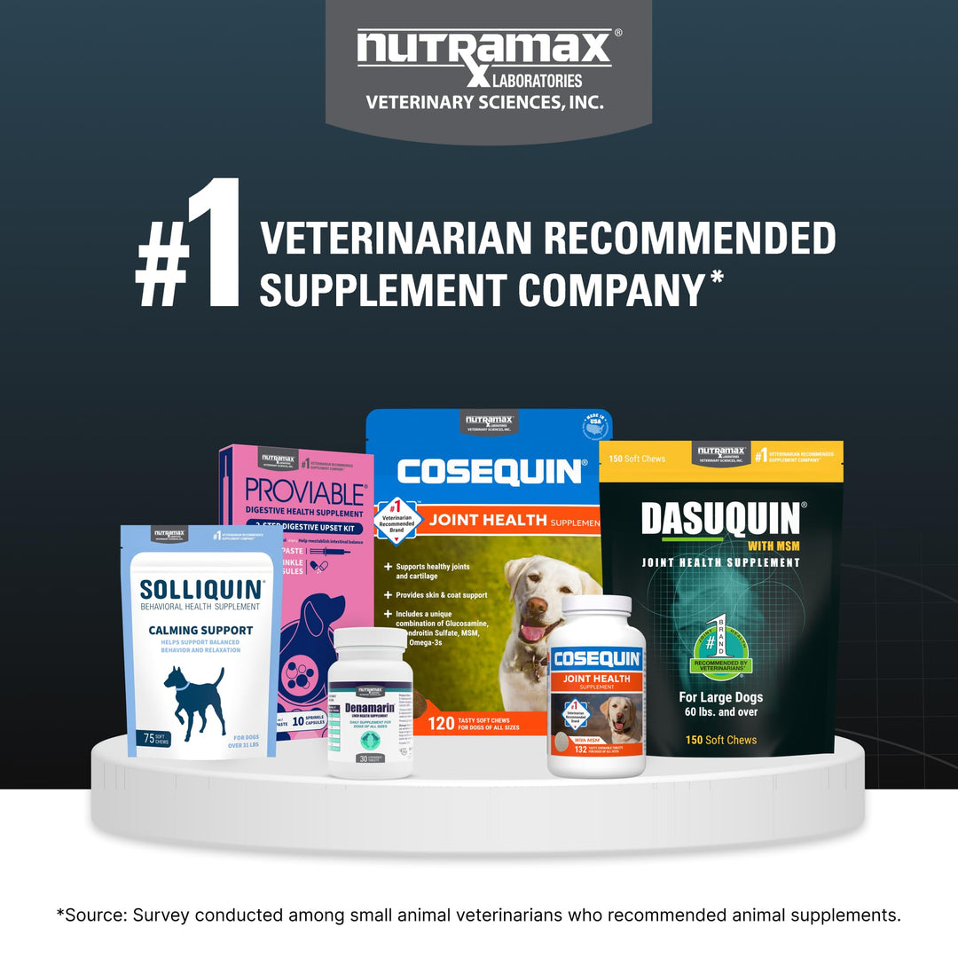 Nutramax Dasuquin MSM Joint Supplement, Large Dogs Chewable Tablets, 150ct