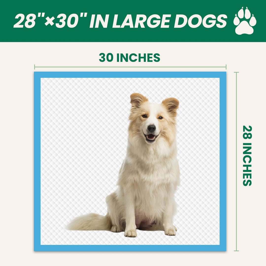 100 Count Large Dog &amp; Cat Puppy Pee Pads - 28"x30" Absorbent Potty Training Pads | Leakproof Quick-Dry Disposable Pet Pads for Puppies, Dogs &amp; Cats | Indoor, Outdoor, Litter Box, Housebreaking Use