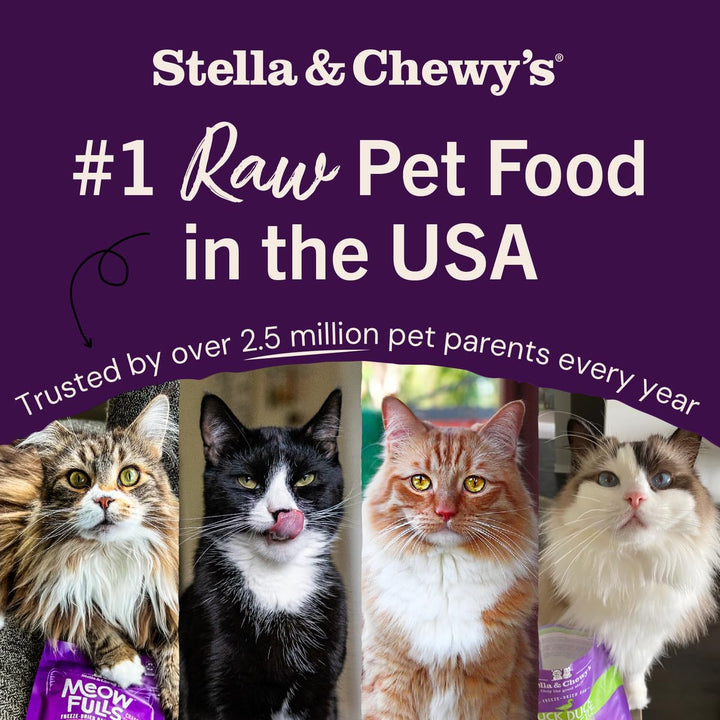 Stella &amp; Chewy&