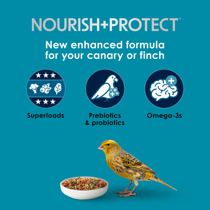 Kaytee Forti-Diet Pro Health Nourish+Protect Canary &amp; Finch Food, 2 Lb