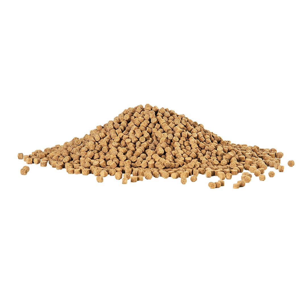 Aqueon Shrimp Pellets Sinking Food for Tropical Fish, Goldfish, Loaches, Catfish and Other Bottom Feeding Fish, 6.5 Ounces (Pack of 2)