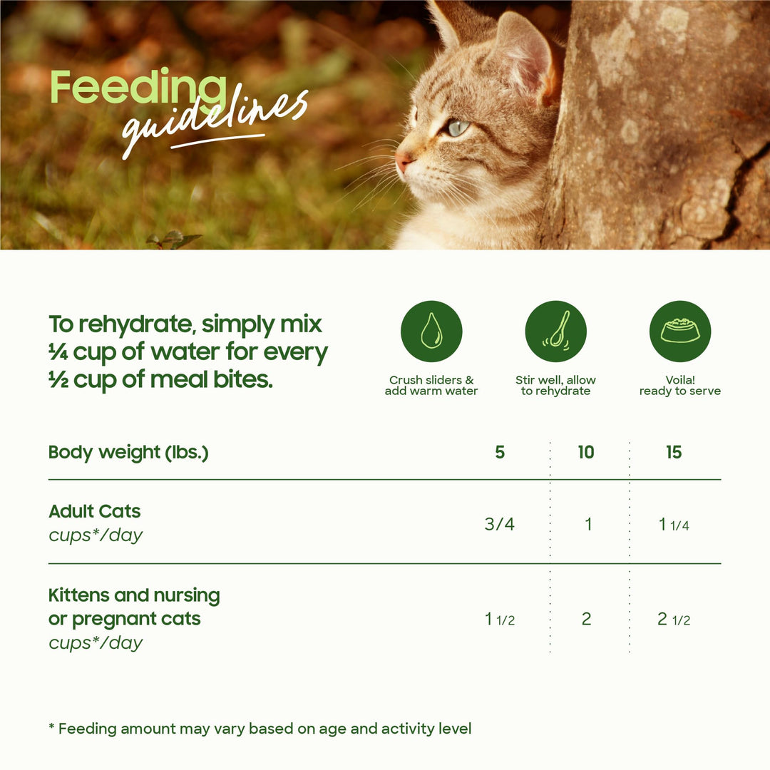 smallbatch Freeze Dried Raw Cat Food, High Protein Chicken Recipe, 10 oz