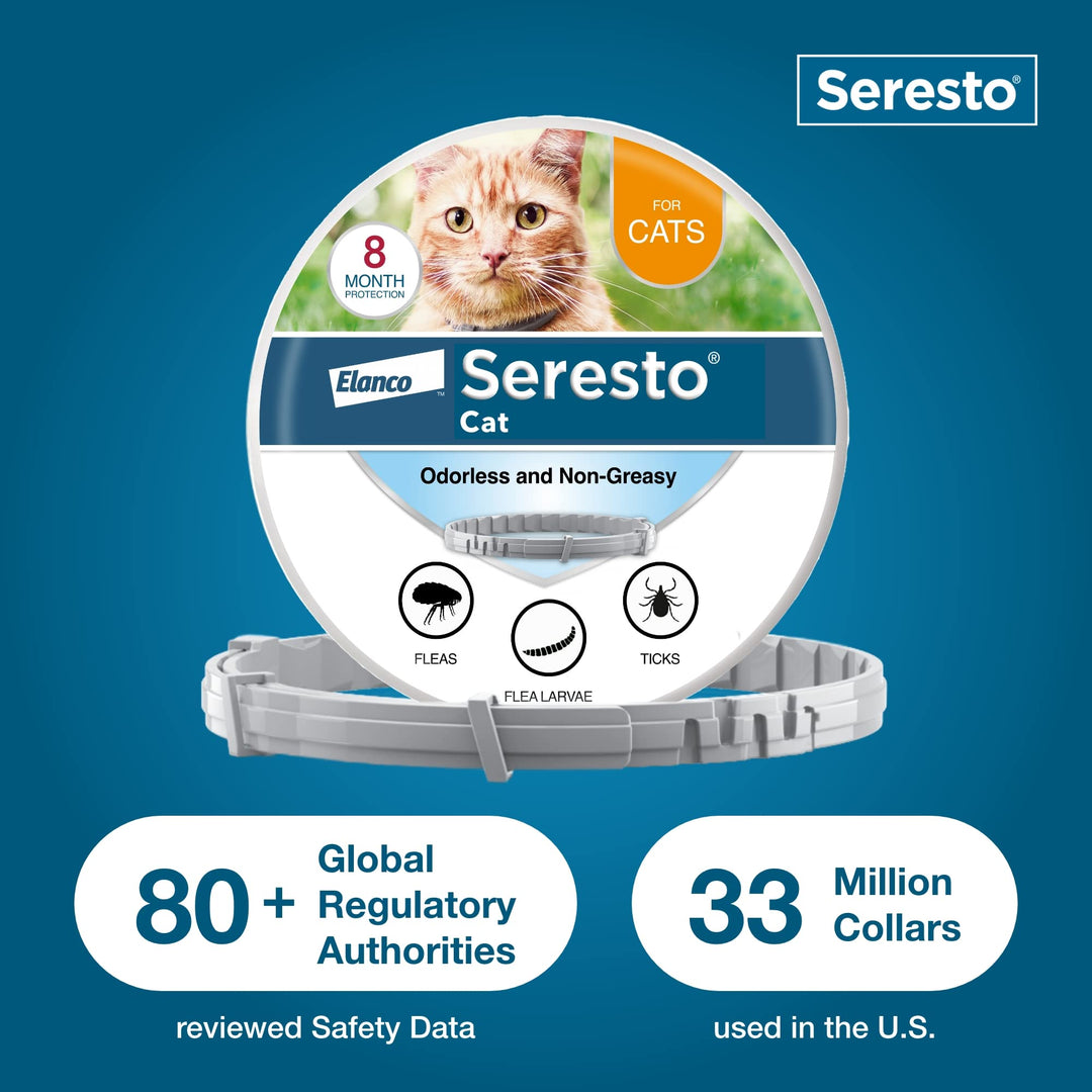 Seresto 8-Month Flea &amp; Tick Collar for Cats &amp; Kittens, 2ct