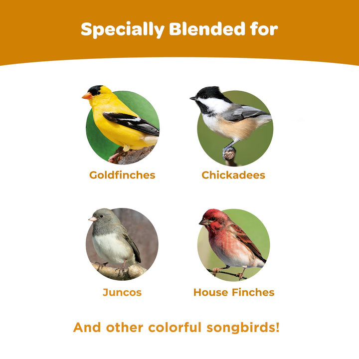 Kaytee Ultimate Wild Finch Blend Wild Bird Food, Attracts Finches &amp; Other Outdoor Wild Birds, 10 Pounds