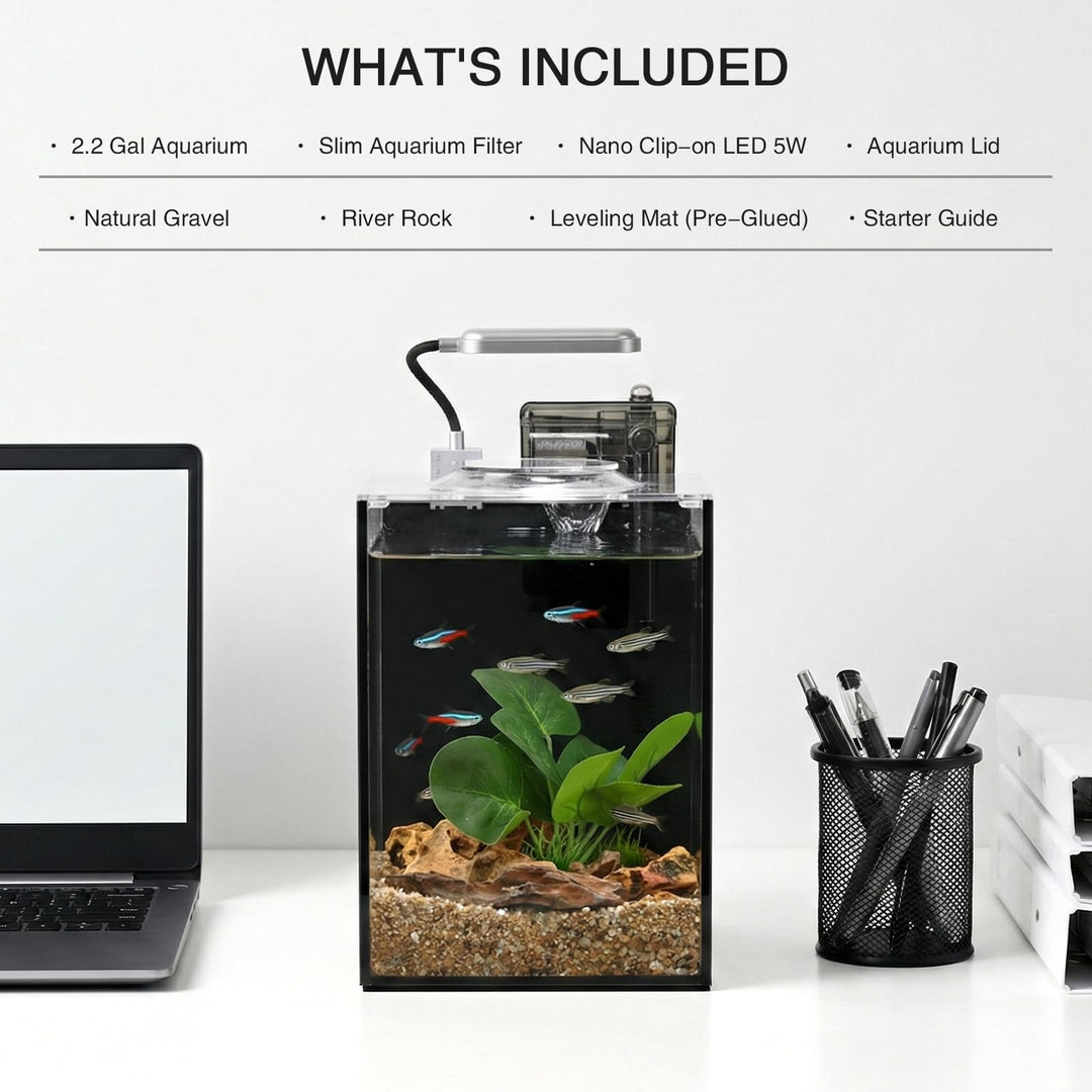 Ahua Walsong 2.2 Gallon Small Fish Tank, Beta Fish Aquariums Starter Kits with Nano Clip-on LED, Waterfall Filter Pump, Plants, Gravel and Rock, Perfect for Small Fish, Shrimp, or Betta (with Lid)