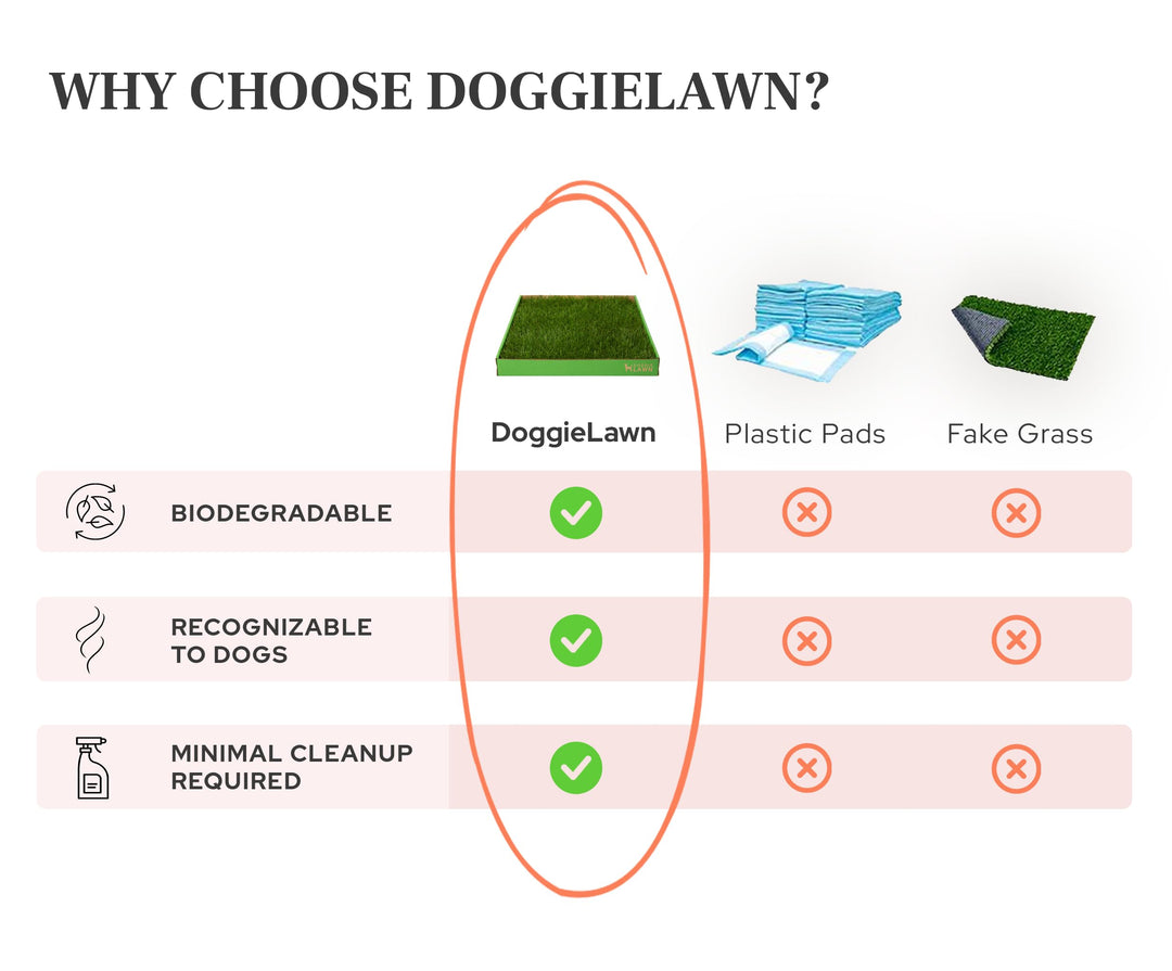 DoggieLawn Real Grass Dog Pee Pads - Medium Dog Potty Pad 24x20