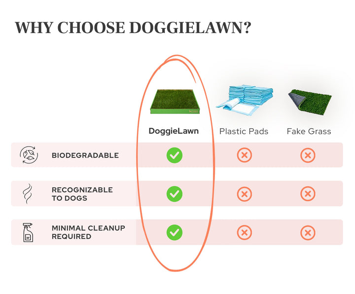 DoggieLawn Real Grass Dog Pee Pads - Medium Dog Potty Pad 24x20
