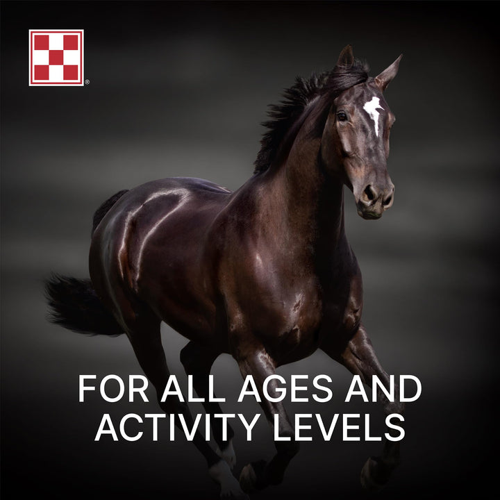 Purina, Amplify Equine, High-Fat Horse Supplement for Maintenance, Breeding, &amp; Performance Horses, 50 lbs