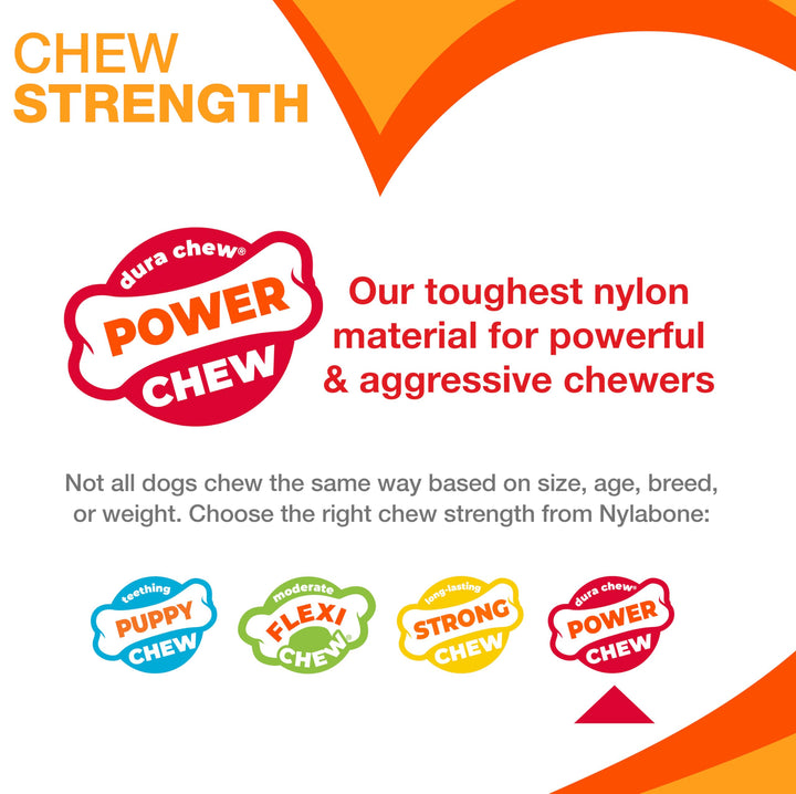 Nylabone Power Chew Original Bone Dog Toys, Chicken &amp; Bacon Flavor, 2 Count