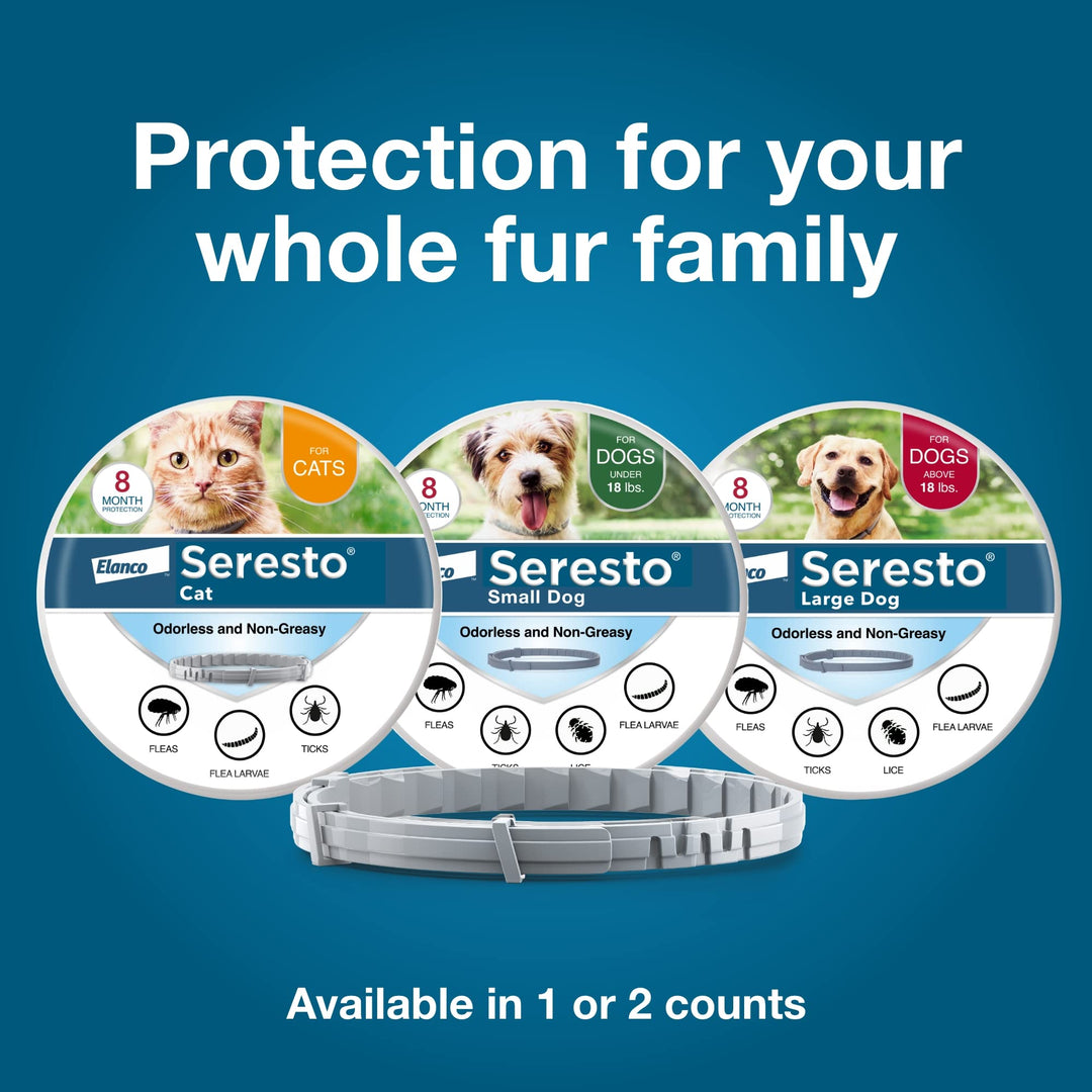 Seresto 8-Month Flea &amp; Tick Collar for Cats &amp; Kittens, 2ct