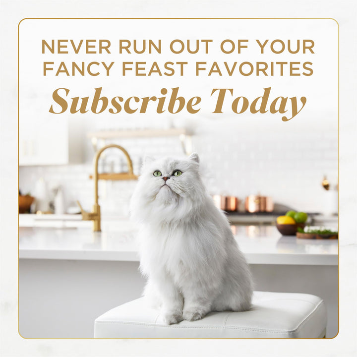 Fancy Feast Purina Tuna Cat Treats (5 Pack) 10 Count Pouches