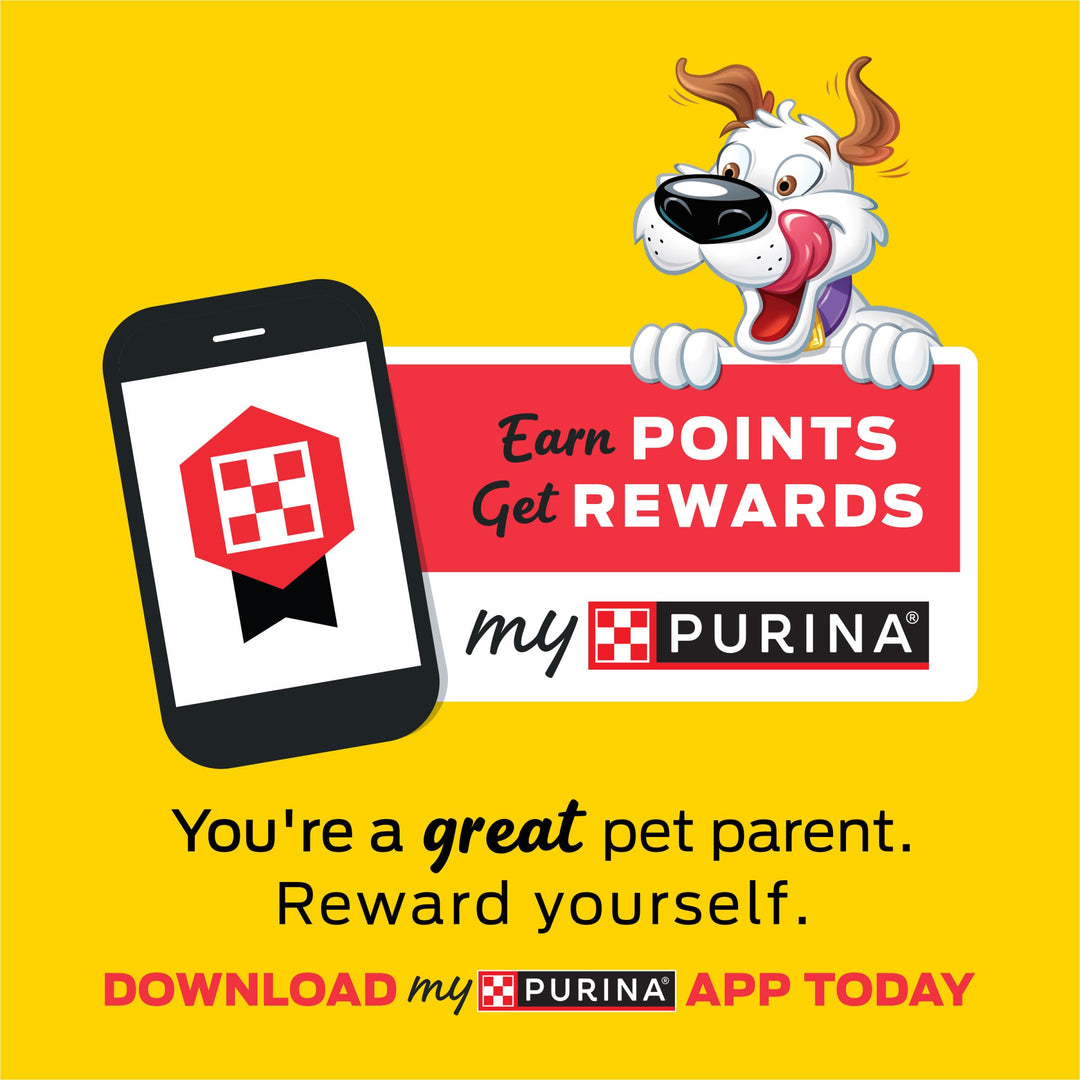 Purina Beggin&