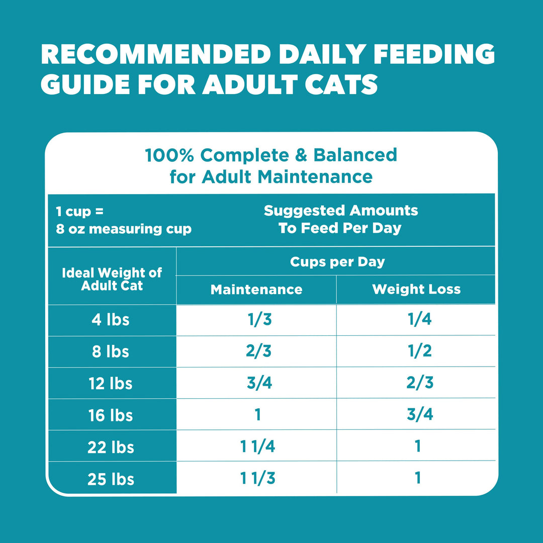 IAMS Proactive Health Indoor Dry Cat Food, Salmon, 16 lb