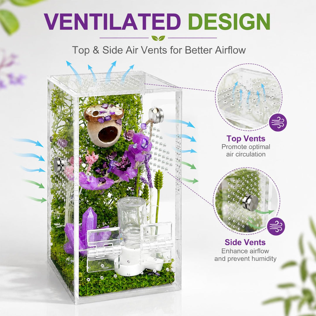 Jumping Spider Enclosure,DIY Insects Habitat,Small Reptile Terrarium Glass House Accessories Set,with Jumping Bridge Hide Water Feeder (Purple)