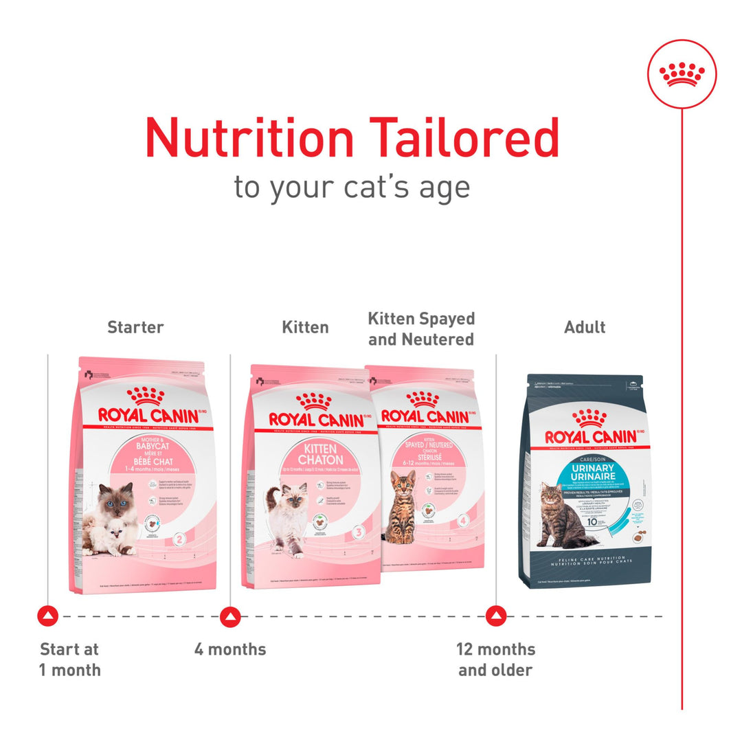Royal Canin Feline Health Nutrition Mother &amp; Babycat Queen Dry Cat Food, 3 lb Bag